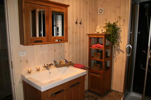 a bathroom with a sink and a shower at Dalen Bed & Breakfast in Dalen