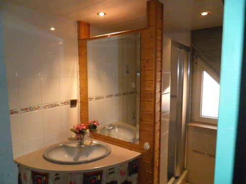 a bathroom with a sink and a mirror at Gite Les Melezes in Dabo