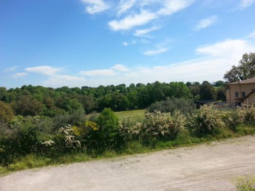 a dirt road next to a field with trees at Hotel Tempio di Apollo in Olgiata