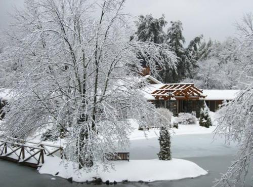 einen schneebedeckten Hof mit einem Haus und einem Baum in der Unterkunft Village Inn - Blowing Rock in Blowing Rock