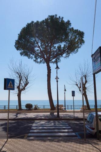 a tree on a sidewalk next to the beach at Casa Roberta in Maiori