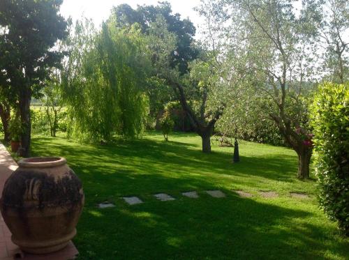 a vase sitting on the side of a yard with trees at Il Girasole Terzuolo in Manciano