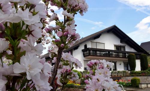 ein weißes Haus mit rosa Blumen davor in der Unterkunft Gästehaus Braun in Bad König