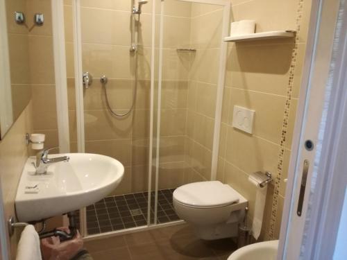 a bathroom with a shower and a toilet and a sink at Hotel Marisa in Riccione