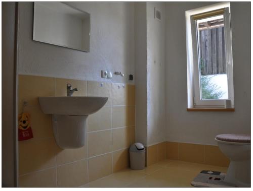 a bathroom with a sink and a toilet at Muzyczna Zagroda in Pietzonken