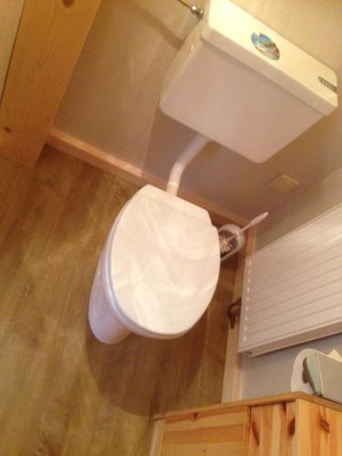 ゴリング・アン・デア・ザルツァッハにあるFerienwohnung Bluntaumühleの白いトイレ