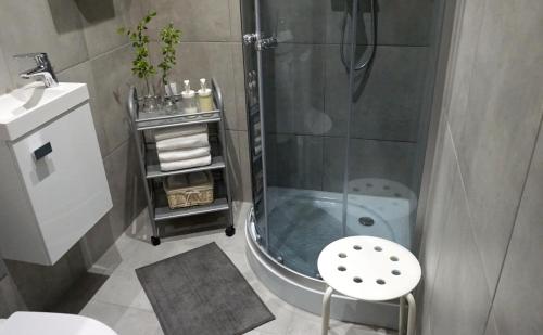 a bathroom with a shower and a toilet and a sink at Lovely Jubbly Apartment in Krakow