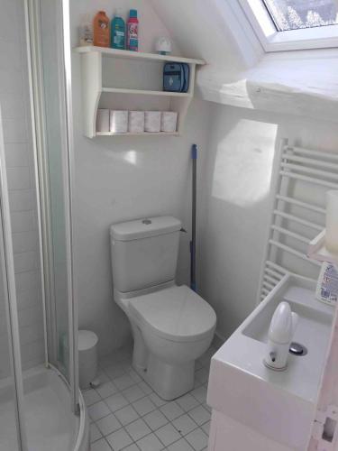 une petite salle de bain avec toilettes et douche dans l'établissement Les Graves, à Villerville