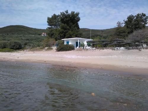 a house on the shore of a beach at House Kokkalas on the beach in Pyrgadikia