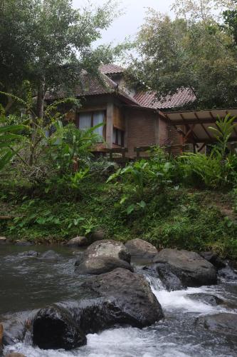 a house next to a river with a building at Mi Casa - The gem of Ijen in Banyuwangi