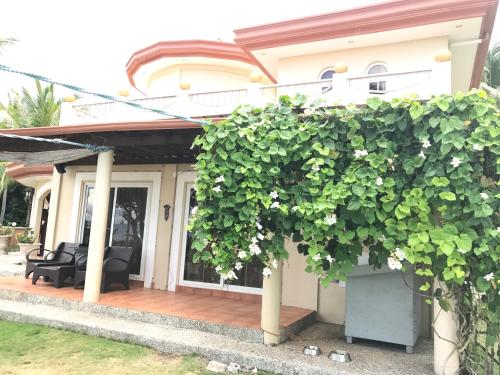 a house with a green hedge in front of it at Cabilao Sunset Dive & Beach Resort in Loon