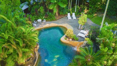 an overhead view of a swimming pool in a garden at Cairns Colonial Club Resort in Cairns