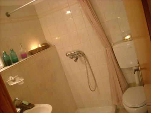 a bathroom with a shower with a toilet and a sink at Level Houses in Kefalos