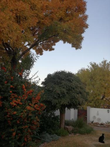 Κήπος έξω από το DeKat Self Catering