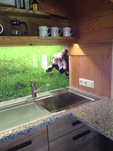 a dog jumping out of a kitchen sink at Berghof Heger in Peißenberg