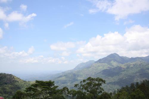 a view of a mountain range with trees in the foreground at Ella Repose in Ella