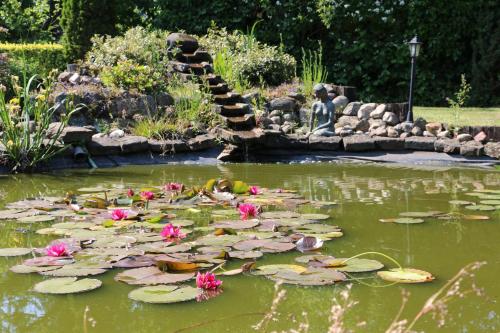 a pond with lilies in a garden with a statue at Hotel Garni Zur Alten Post in Lembruch
