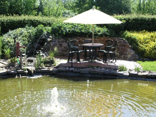 a table with an umbrella next to a pond at Hotel Garni Zur Alten Post in Lembruch