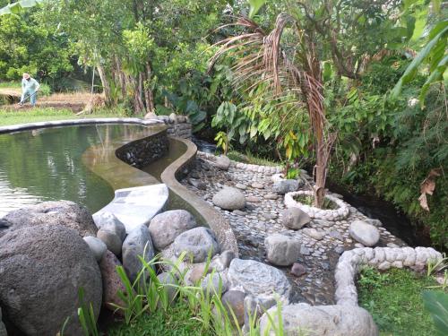 a pool of water with rocks in a garden at Uma Nirmala Aling-Aling in Singaraja