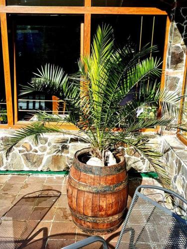a potted plant in a barrel on a patio at Motel Podkova in Klobouky u Brna