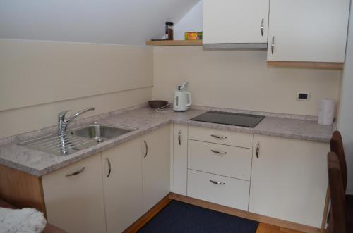 Kuchyň nebo kuchyňský kout v ubytování Apartment Brumec
