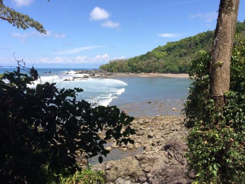 a view of a beach with the ocean at Sabalo Lodge Tours and Cabins in Sierpe