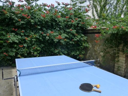 Attrezzature per ping pong presso Tikhaya Gavan o nelle vicinanze