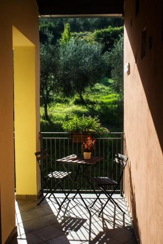 a balcony with a table with a plant on it at Agriturismo Murikè in Santa Marina