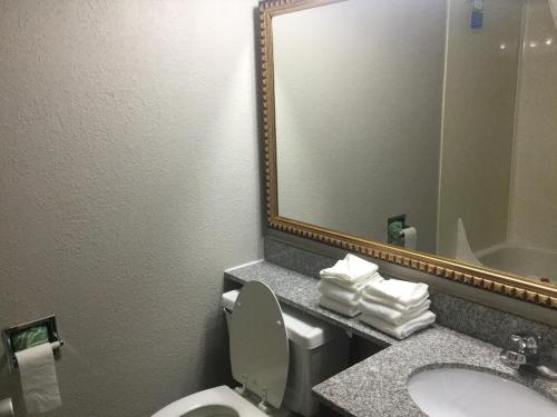 a bathroom with a toilet and a sink and a mirror at Baymont by Wyndham Michigan City in Michigan City