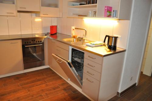 a small kitchen with a sink and a dishwasher at Alte Bäckerei in Schwarzsee