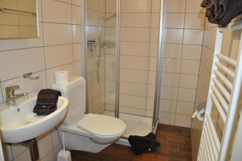 uma casa de banho com um WC, um lavatório e um chuveiro em Alte Bäckerei em Schwarzsee