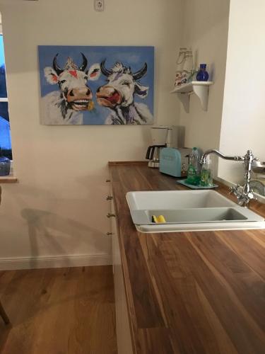 a kitchen with a sink and two cows on the wall at Ferienwohnung Ankerplatz in Rieden