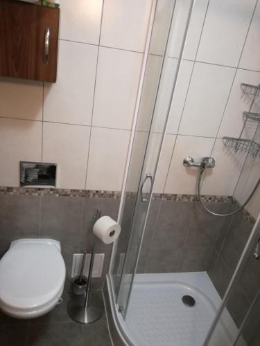 a small bathroom with a toilet and a shower at Ubytovani na hradbach in Broumov