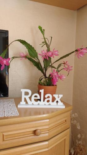 a plant in a pot on top of a dresser at Antjes Ferienwohnung Flonheim in Flonheim