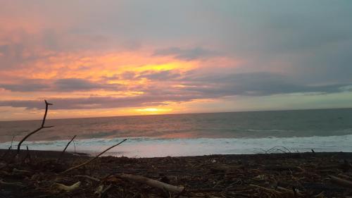 a sunset on a beach with the ocean at Napier Art House Backpackers in Napier