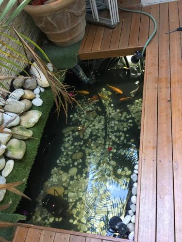 Imagen de la galería de Gordons Guesthouse, en Ciudad del Cabo