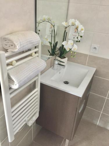 une salle de bain avec un lavabo et un miroir dans l'établissement Les Terrasses D'Aix - Studio avec Grande Terrasse privée, à Aix-en-Provence