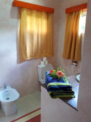 a bathroom with a toilet and a sink with towels at Villa Admiral in Praslin