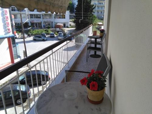 a table with a plant on top of a balcony at Olena House in Kavala