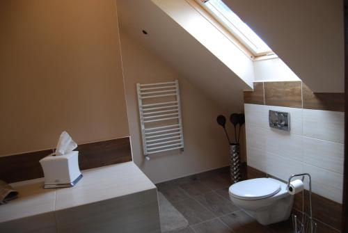 a bathroom with a toilet and a skylight at Kamienna Zagroda in Białowieża