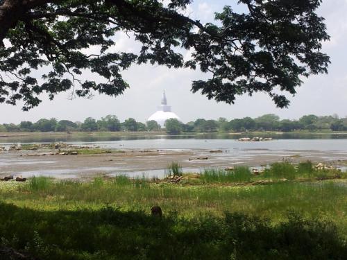 a view of a lake with a building in the distance at Amsterdam Tourist Rest in Anuradhapura