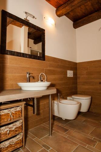 a bathroom with a sink and a toilet and a mirror at Agriturismo La Dimora Del Contadino in Mondovì