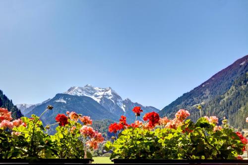 a view of a mountain with red flowers in the foreground at Gästehaus Oblasser in Mayrhofen