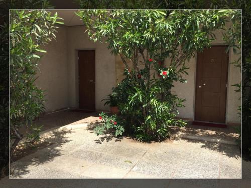 a building with a tree with red flowers on it at Hotel Moderno in Tavagnacco