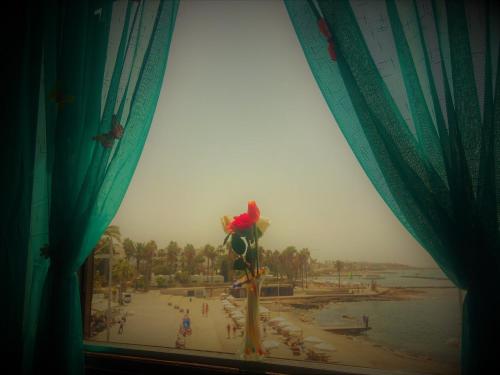 a flower in a window with a view of a beach at 777 Beach Guesthouse in Paphos City
