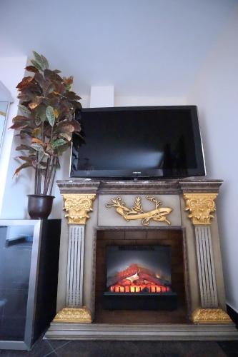 a fireplace in a living room with a tv above it at Paris Suites Hotel in Queens