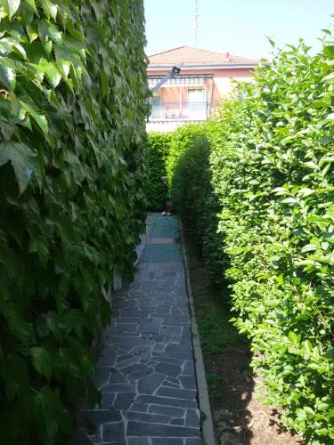 a walkway through a hedge in a garden at Ciro BED AND BREAKFAST la villetta in Pioltello