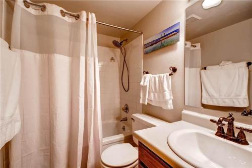 Un baño con inodoro, lavabo y ducha. en Tyra Summit B-2-C, en Breckenridge