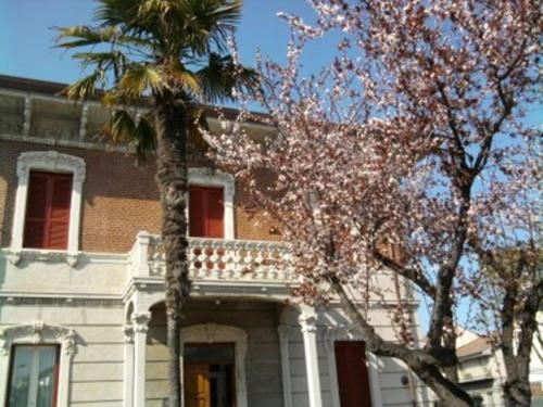 a building with a palm tree in front of it at Villa Marietta in Civitanova Marche