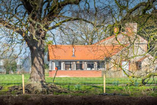 a house with an orange roof and a tree at Little Abbey Farm in Gayton
